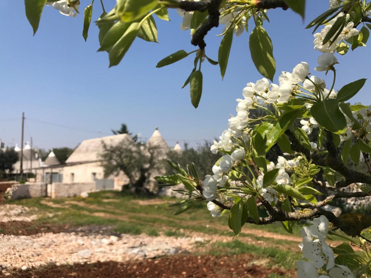 Marinella Suite Home Locorotondo Εξωτερικό φωτογραφία
